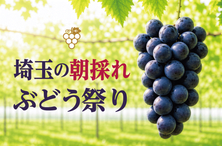 埼玉の朝採れぶどう祭り