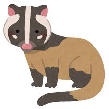 hakubisin