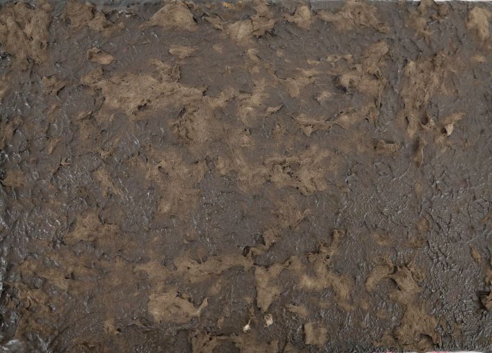 チョコ