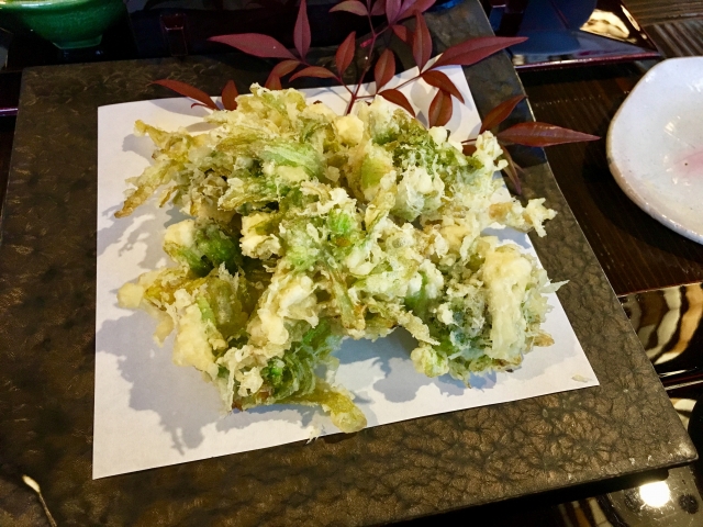 midori5