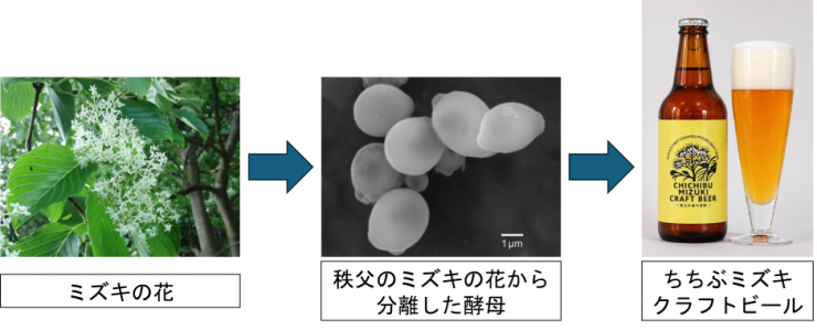商品開発に関する紹介画像