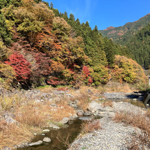 川原写真