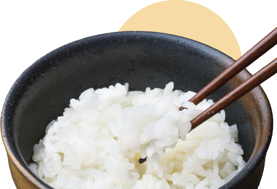 ご飯（えみほころ）を箸ですくった写真
