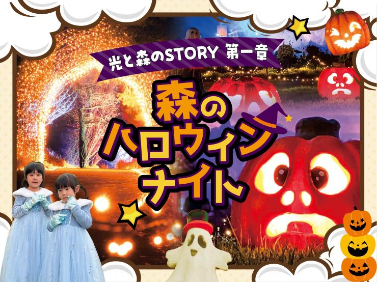 イルミネーション「森のハロウィンナイト」を開催します