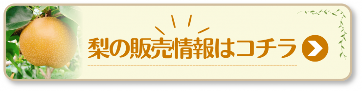 販売情報