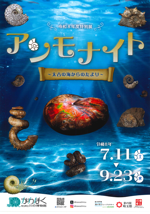 特別展チラシ