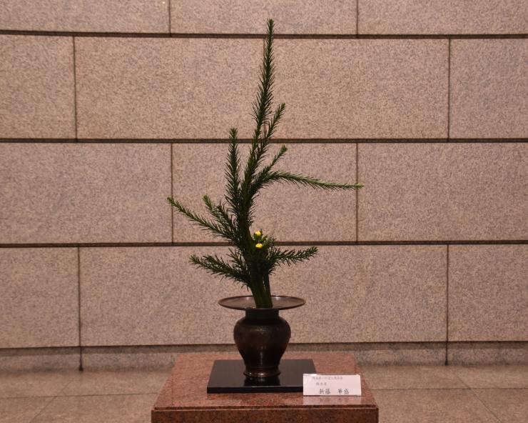 9月28日生け花の写真