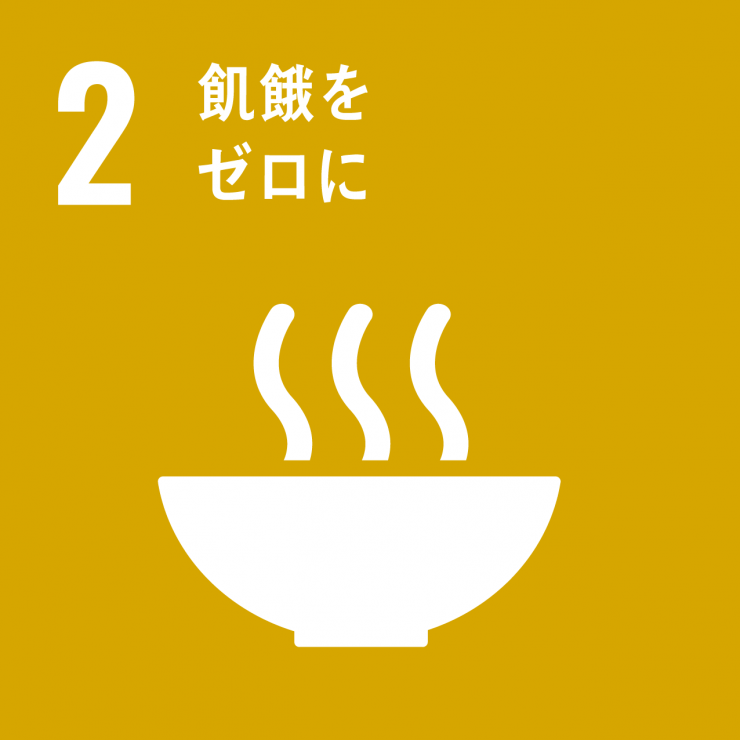 SDGsicon2