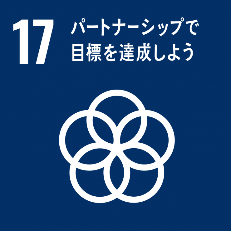 SDGsicon17