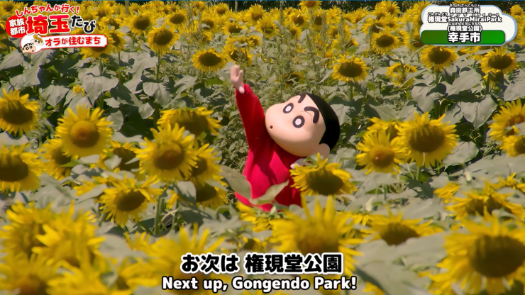 himawari