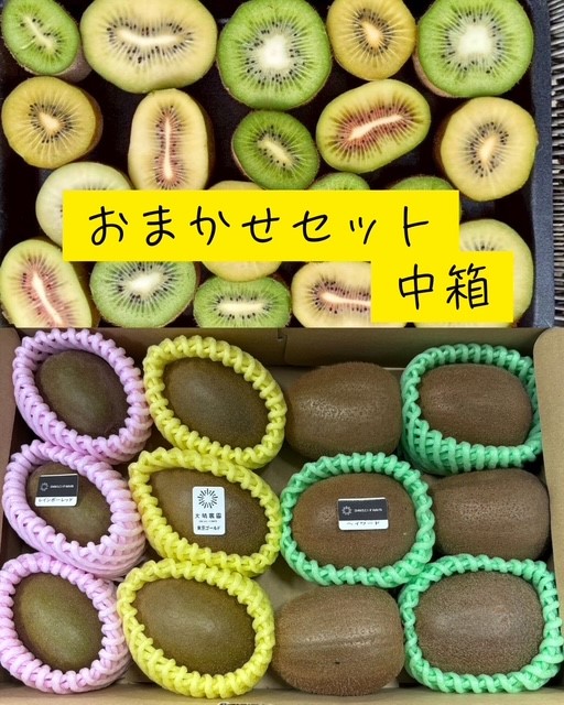 キウイ