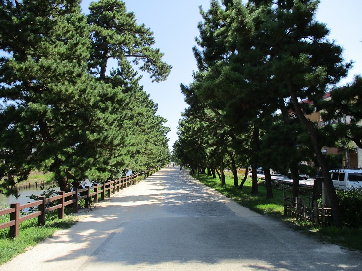 草加松原遊歩道の写真