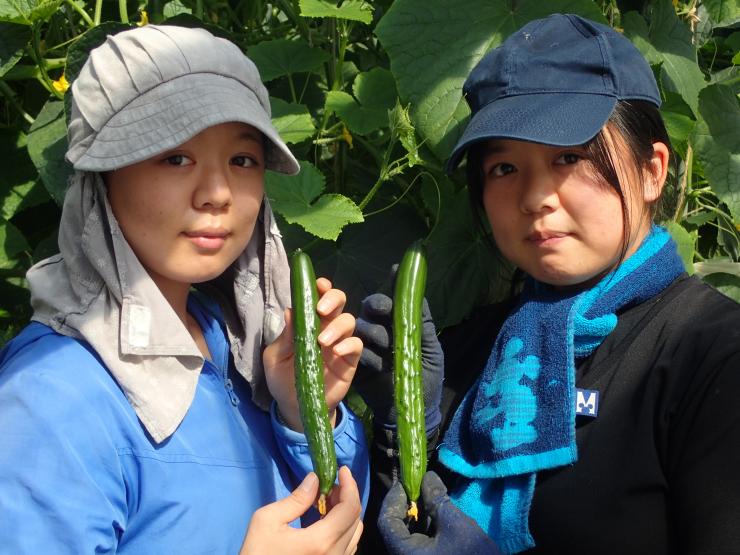 秋山雛菜さん、秋山華菜さん