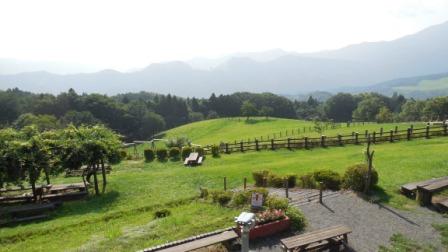 牧場の夏風景