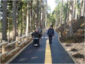 横瀬町芦ヶ久保地区県民の森における整備後の写真