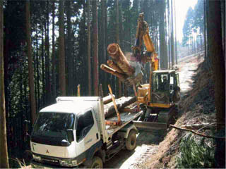 作業道と高性能林業機械の様子