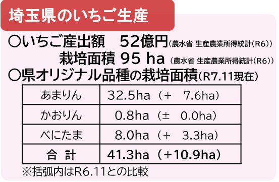 埼玉県のいちご生産