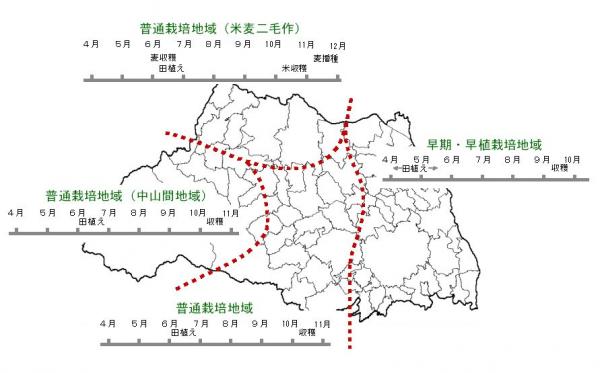 米の作型地図