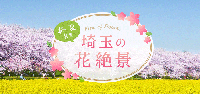 花絶景