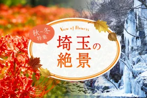 絶景秋