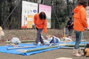 同行避難の様子です