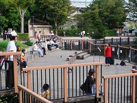水上ライブ