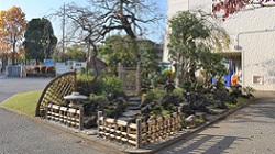 苔と石組みの茶庭_20251120