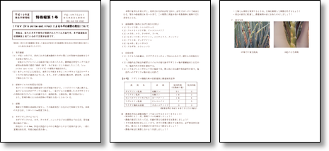 本文PDF