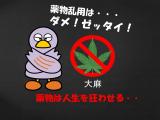 不正大麻・けし撲滅運動