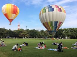 所沢航空記念公園の園内の写真