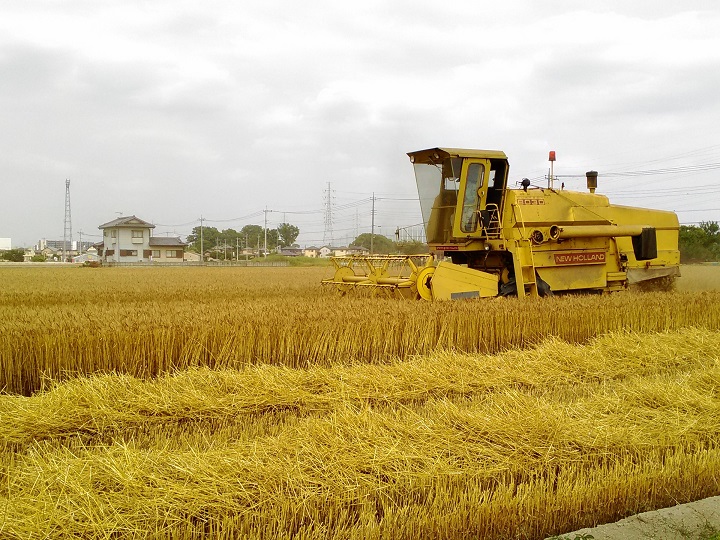 麦の収穫作業
