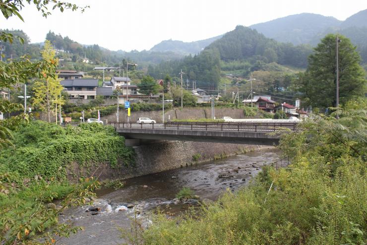 道の駅のデッキから見た果樹公園橋