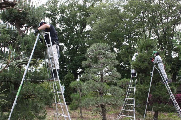 植木造園専攻実習3