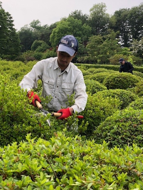 造園専攻実習