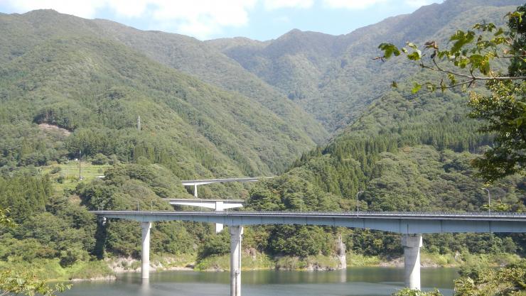 大川ダム湖面橋全景