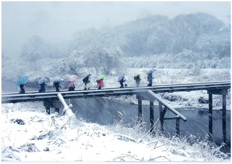 記録的大雪