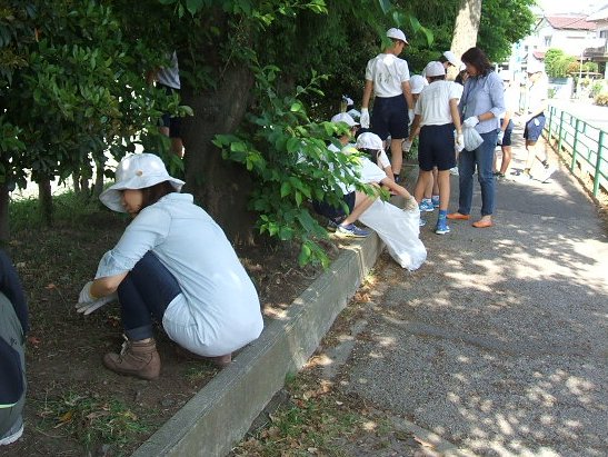 蕨中央小