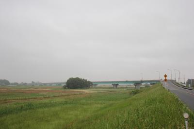 糠田橋の全景