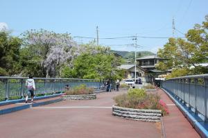 安谷橋旧橋の上（公園）