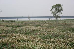 水辺の広場