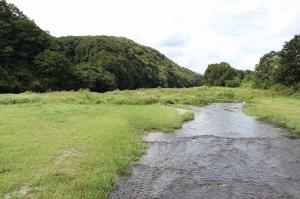 鞍掛橋上流