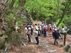 森林トレッキング 入川森林軌道跡