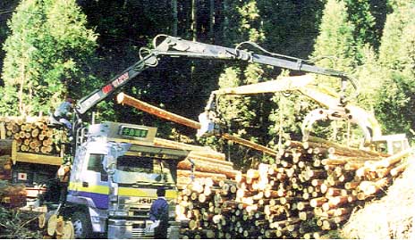 山村生活や、木材の搬出に必要な森林管理道