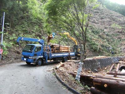 林業用機械で伐採木をトラックに積み込んでいる写真です