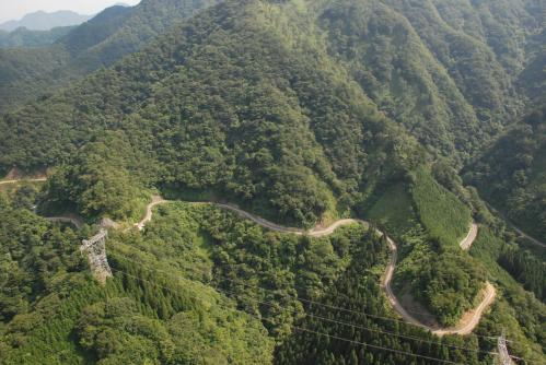 山間部を通る森林管理道の航空写真です