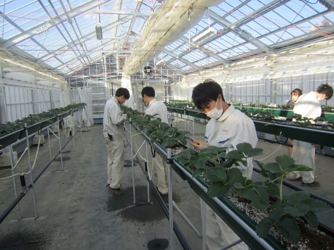 秩父農工科学高等学校