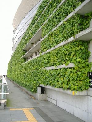 壁面緑化の対策例