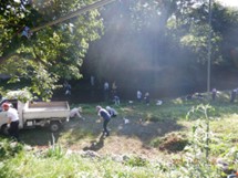 活動写真5