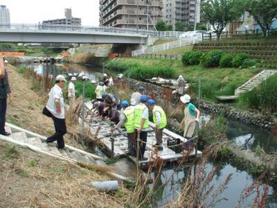 芝川写真1