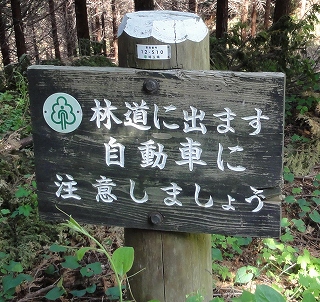 車に注意の標識写真